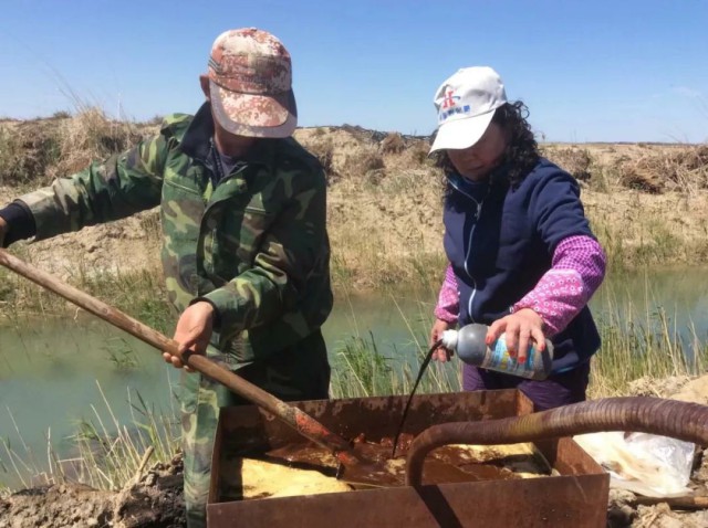 重磅消息：成都華宏傳捷報(bào)，助力新疆福海2800畝食葵喜獲豐收！