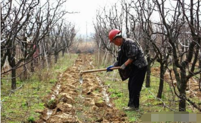 果園土壤改良基本措施