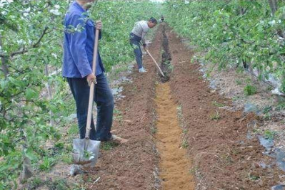 果園土壤改良基本措施