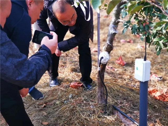 果樹(shù)智能灌溉試驗(yàn)成功，黑科技助力果農(nóng)增產(chǎn)增收