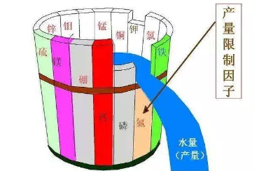 告急！我國(guó)一半的土壤缺中微量元素！別再只上氮磷鉀了