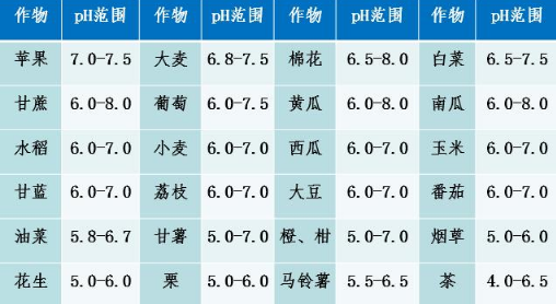 這些土壤問題你知道嗎？