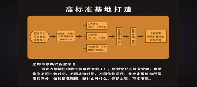 種啥地、施啥肥！肥郎中診斷式配肥平臺“果蔬行業(yè)高峰論壇”！