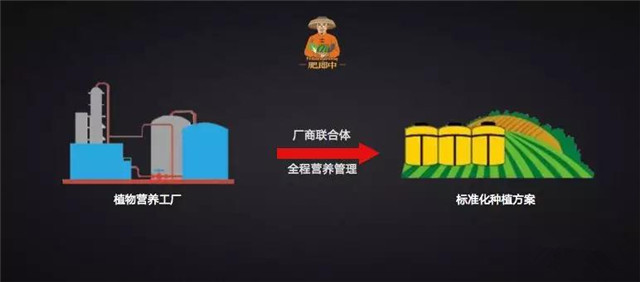 種啥地、施啥肥！肥郎中診斷式配肥平臺“果蔬行業(yè)高峰論壇”！