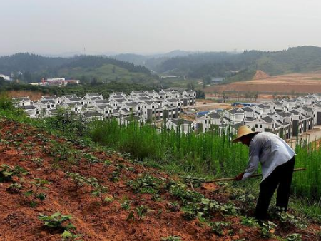 “土壤病”，你不得不重視，影響土壤健康的六大因素你得知道