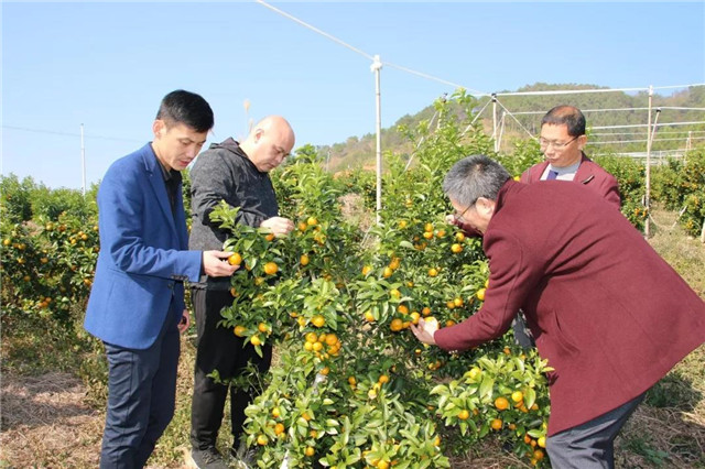 土壤修復(fù)的三項(xiàng)關(guān)鍵技術(shù)，一個都不能少！