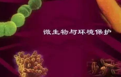 微生物都在土壤中干些啥，你知道嗎？