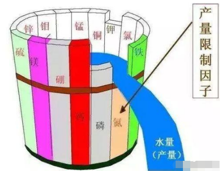 告急！我國一半的土壤缺中微量元素！別再只上氮磷鉀了