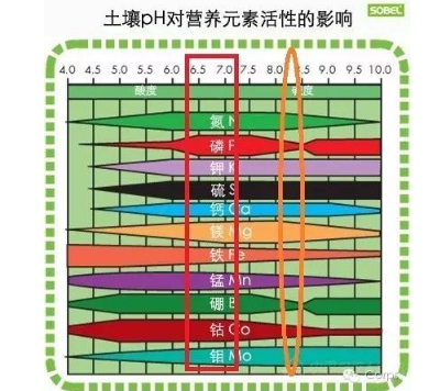 土壤三大“殺手”！直接影響肥效和作物生長，九成的人都不知道