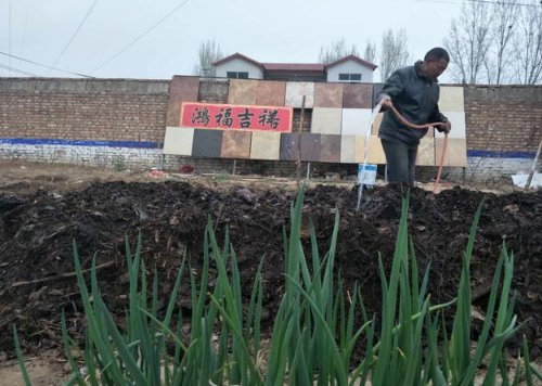 農(nóng)家糞肥對土壤作物是個寶，但掌握好糞肥特性、科學使用是關鍵