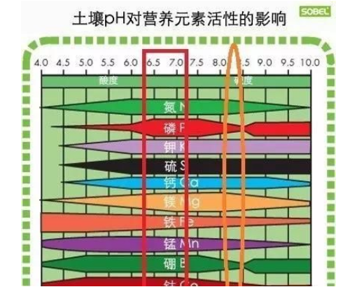 土壤三大“殺手”！直接影響肥效和作物生長