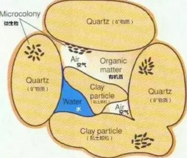 土壤板結(jié)都起皮結(jié)塊了，怎么破？首先得知道板結(jié)原因