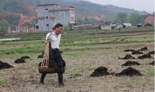 什么方法改良土壤最有效