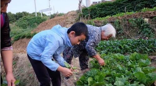 單方面使用土壤調(diào)理劑是危險的。保水鹽堿酸必須區(qū)分使用才有效果