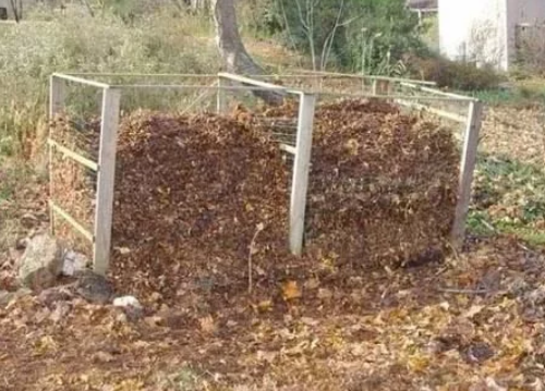 土壤里有蚯蚓對植物的幾大好處，如何吸引蚯蚓過來呢？