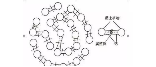 土壤里面學(xué)問大，搞不清楚瞎種地！