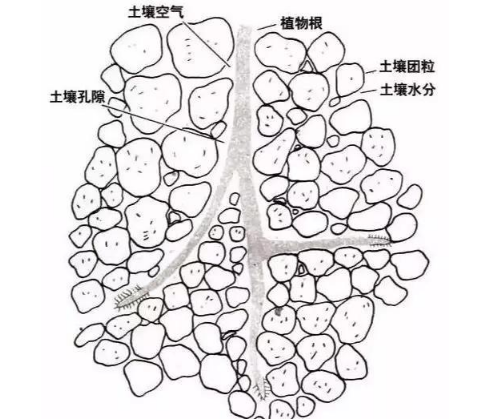 土壤里面學(xué)問大，搞不清楚瞎種地！