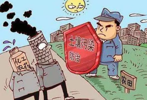 理想的健康土壤該是什么樣？