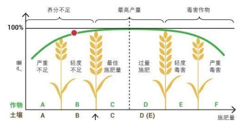 菜田土壤鹽漬化問題突出，20年植保經(jīng)驗(yàn)告訴你如何有效解決！