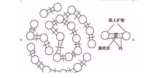 土壤里面學問大，搞不清楚瞎種地！