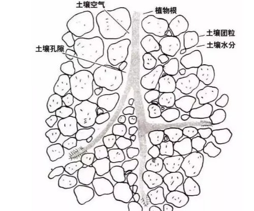 土壤里面學問大，搞不清楚瞎種地！