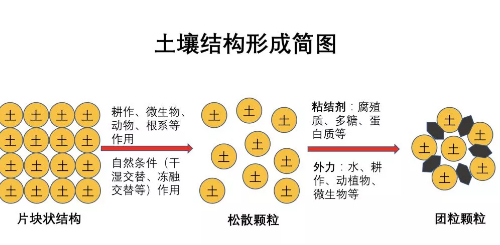 不懂土壤，用的肥用的藥都是浪費！