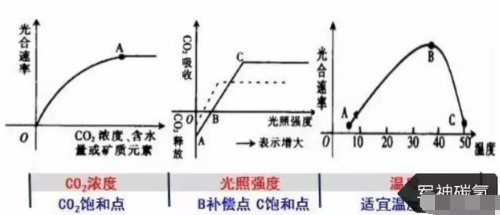 碳?xì)浜朔剩簻p了化肥，富了農(nóng)民，綠了中國