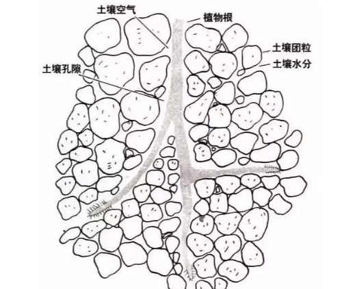 土壤里面學(xué)問大，搞不清楚瞎種地！