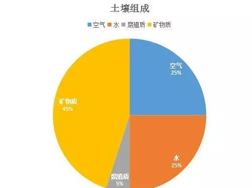 理想的健康土壤該是什么樣？