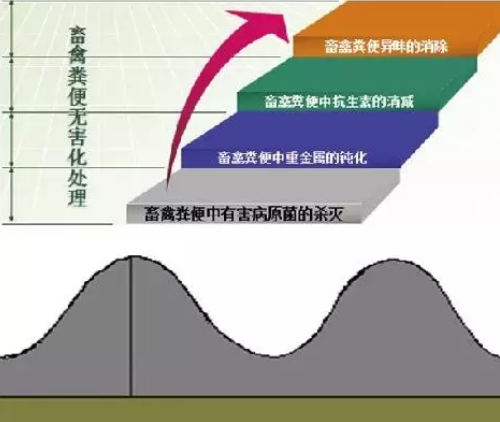 土壤問題究竟出在哪兒？