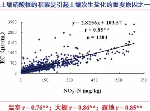 土壤問題究竟出在哪兒？