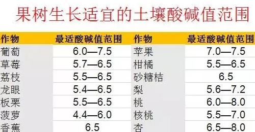 約3.7億畝耕地，需要進(jìn)行土壤改良！