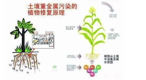 你的土壤是否還是它原本的那個樣子？