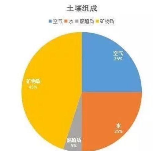 理想的健康土壤該是什么樣？