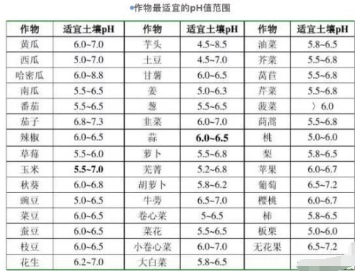 這才是健康的土壤該有的樣子，土壤改良你就從這幾個方面下手