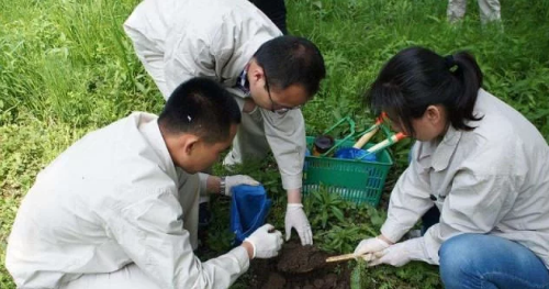 土壤也需要喂養(yǎng)，只有健康的土壤，才是農(nóng)業(yè)的根本，人類才有未來