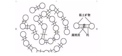 土壤里面學(xué)問大，搞不清楚瞎種地！