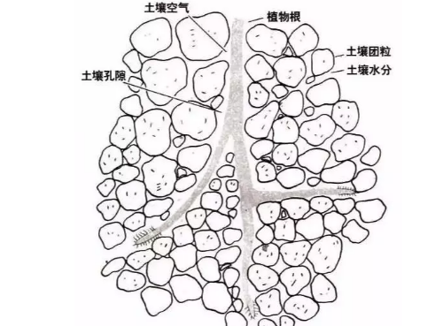 土壤里面學(xué)問大，搞不清楚瞎種地！