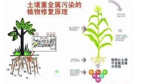 你的土壤是否還是它原本的那個樣子？