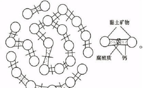 土壤里面學問大，搞不清楚瞎種地！