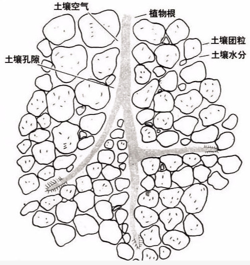 土壤里面學問大，搞不清楚瞎種地！