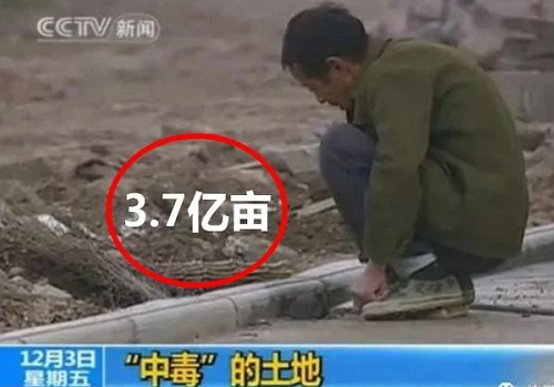 震感！約3.7億畝耕地，需要進(jìn)行土壤改良