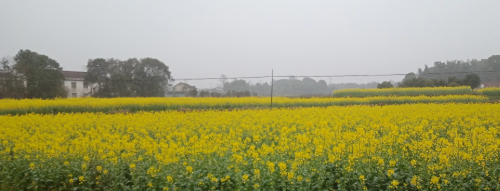 怎樣解決土壤板結(jié)？