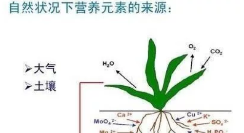 秸稈還田到底對土壤有沒有好處呢？