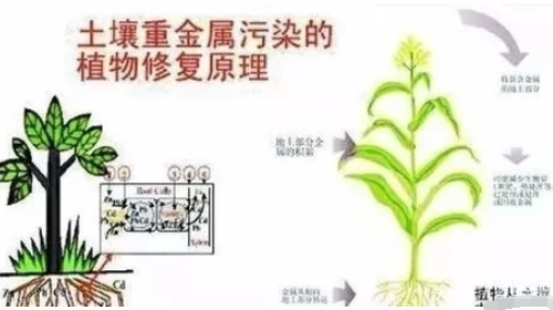 土壤健康的標準是什么？