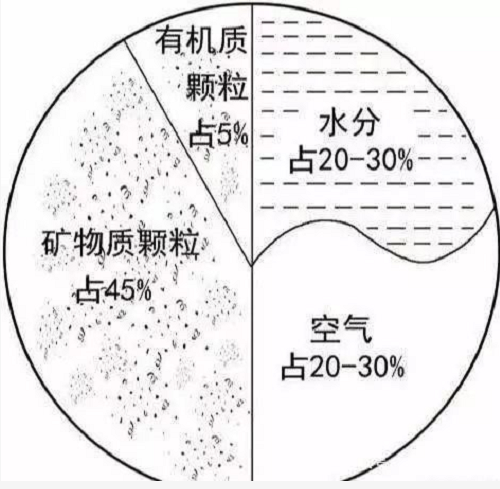 從本質(zhì)上講，所有的生命都依賴于土壤！