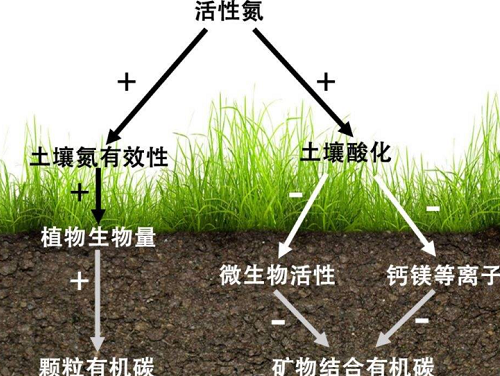 土壤顏色發(fā)生變化說(shuō)明土壤出了大問(wèn)題......！