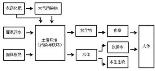 沒有高精尖，農(nóng)民如何判斷土壤肥瘦？10個土辦法，管用！