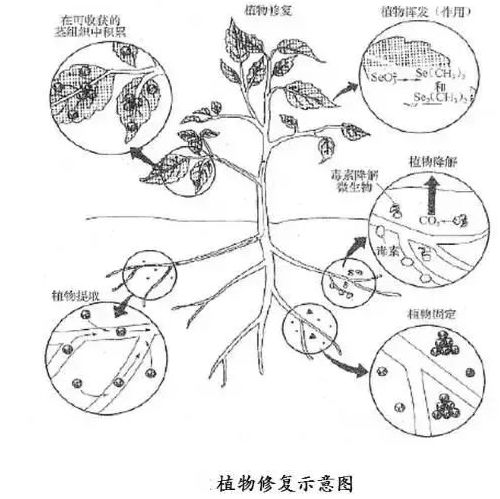 沒有高精尖，農(nóng)民如何判斷土壤肥瘦？10個土辦法，管用！