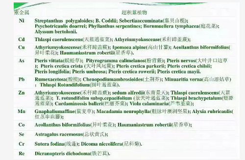 沒有高精尖，農(nóng)民如何判斷土壤肥瘦？10個土辦法，管用！